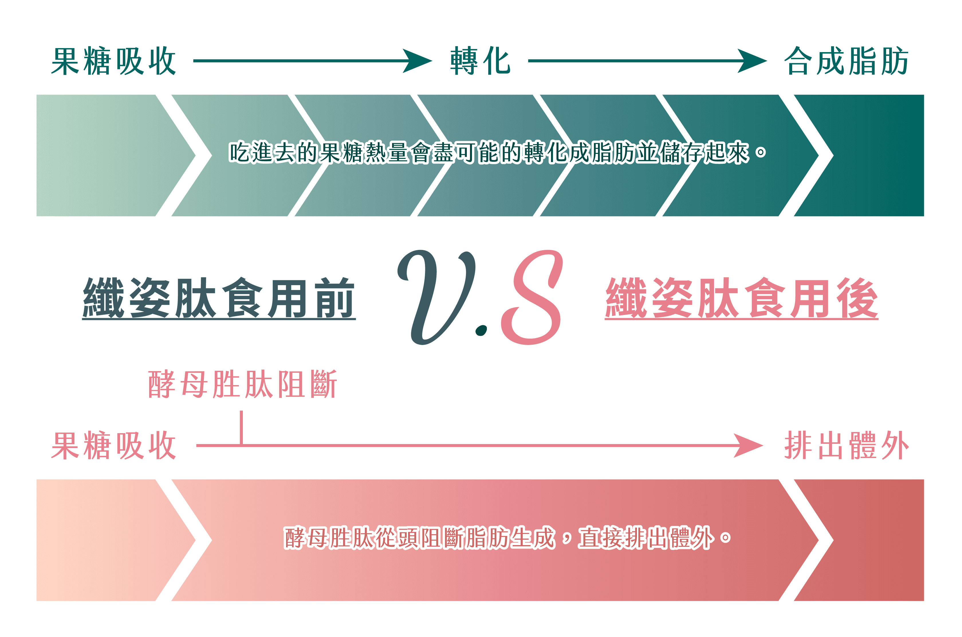 體重控制保健食品,體態管理保健食品,餐前阻斷推薦,保健食品推薦-艾博生技_纖姿肽