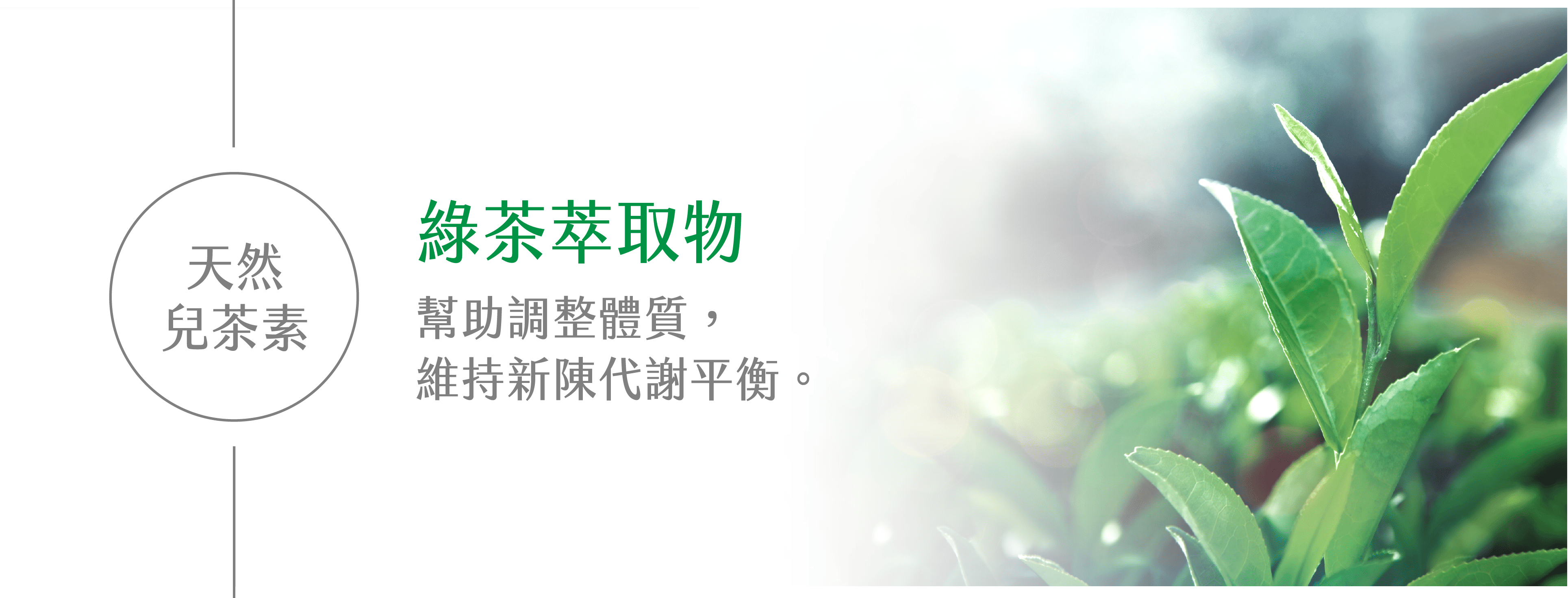 體重控制保健食品,體態管理保健食品,餐前阻斷推薦,保健食品推薦-艾博生技_纖姿肽