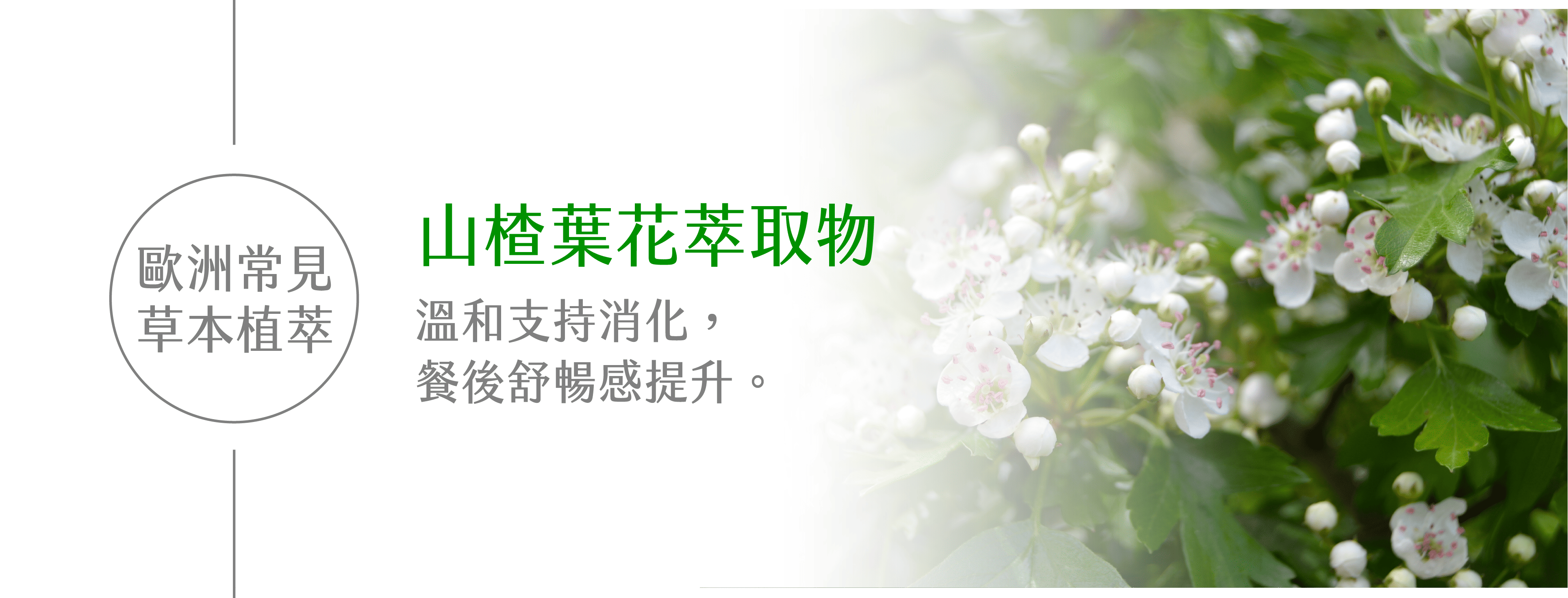 體重控制保健食品,體態管理保健食品,餐前阻斷推薦,保健食品推薦-艾博生技_纖姿肽