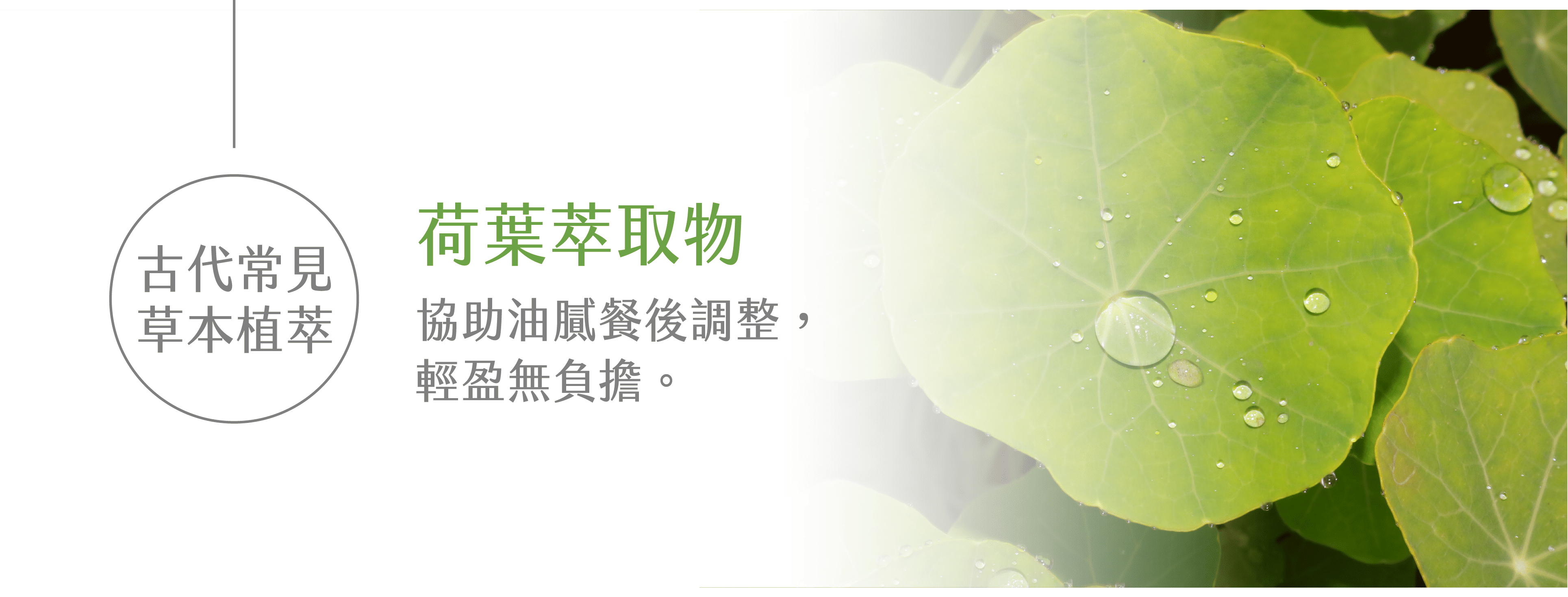 體重控制保健食品,體態管理保健食品,餐前阻斷推薦,保健食品推薦-艾博生技_纖姿肽